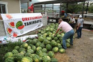 CHP'li belediye, üreticiden aldığı 400 ton karpuzu kilosu 1 liradan vatandaşa sattı