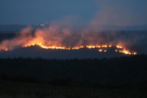 Bulgaristan'daki yangın Edirne'nin sınır köylerine dayandı! Alevler ürkütücü boyuta ulaşıyor